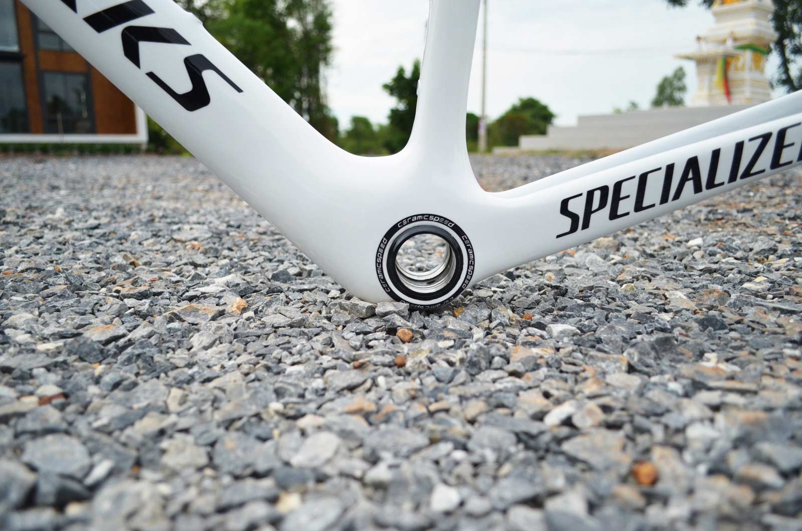 มุมมองภาพเฟรม 6